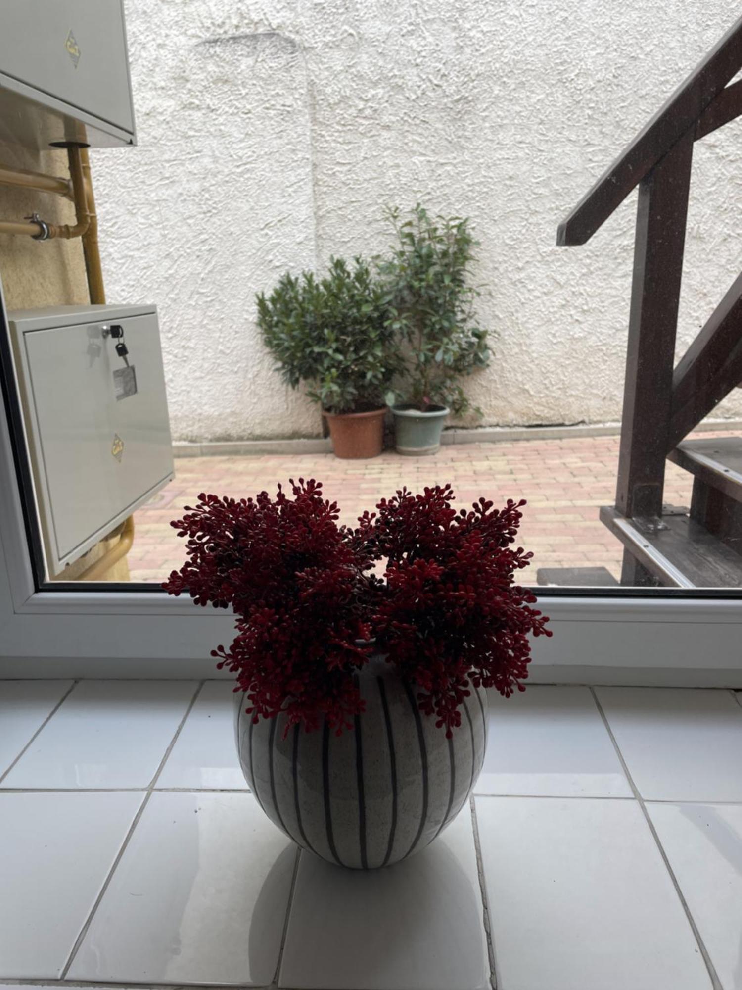 Takacs Vendeghaz 2 Lägenhet Sopron Exteriör bild